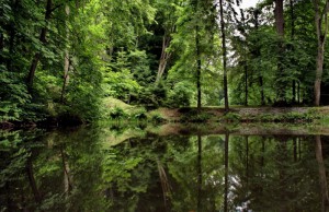 park-pri-betliari.jpg